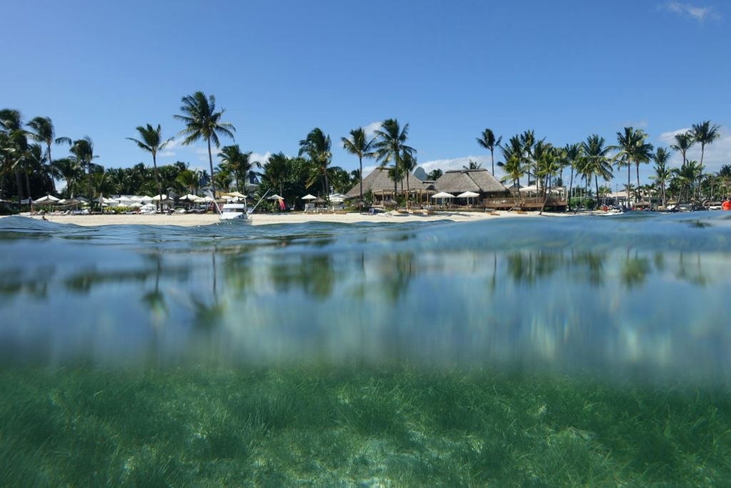 Tropical beach scene showing clear blue water with visible underwater grass, palm trees, boats, and thatched-roof buildings on the shore under a bright blue sky.